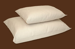 Naturepedic Organic Cotton Pillows and Pillowcases